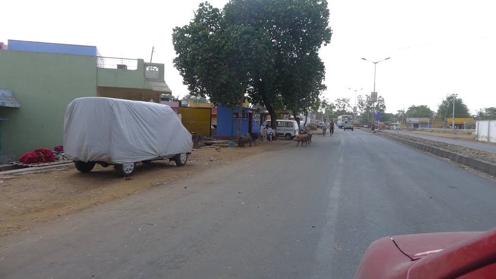 ═㋡═ Sidha Maheshwar Nagar  ═㋡═ Gadag-Betiger ═㋡═ INDIA ═㋡═
