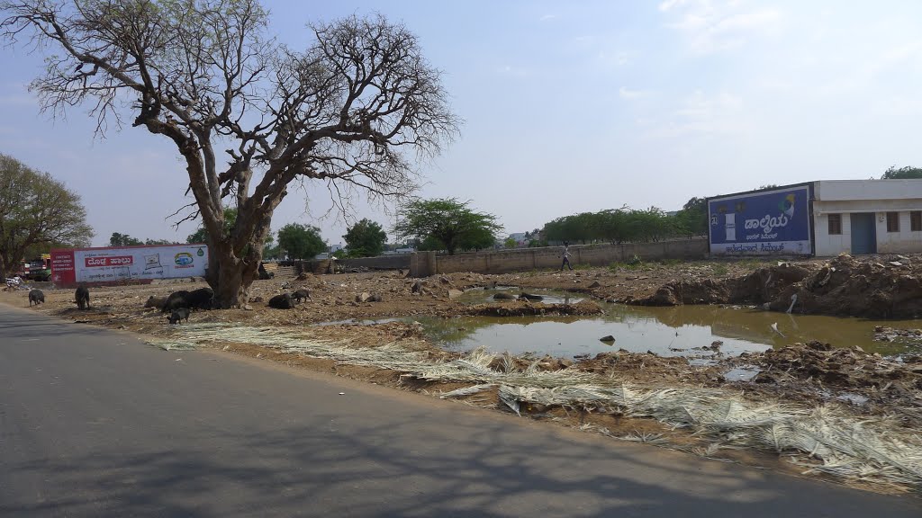 ●●● INDIA ●●● KARNATAKA ●●● GADAG ●●●
