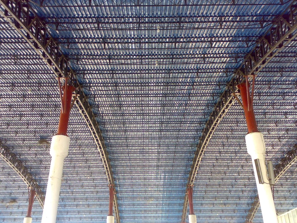 photo in bus stand