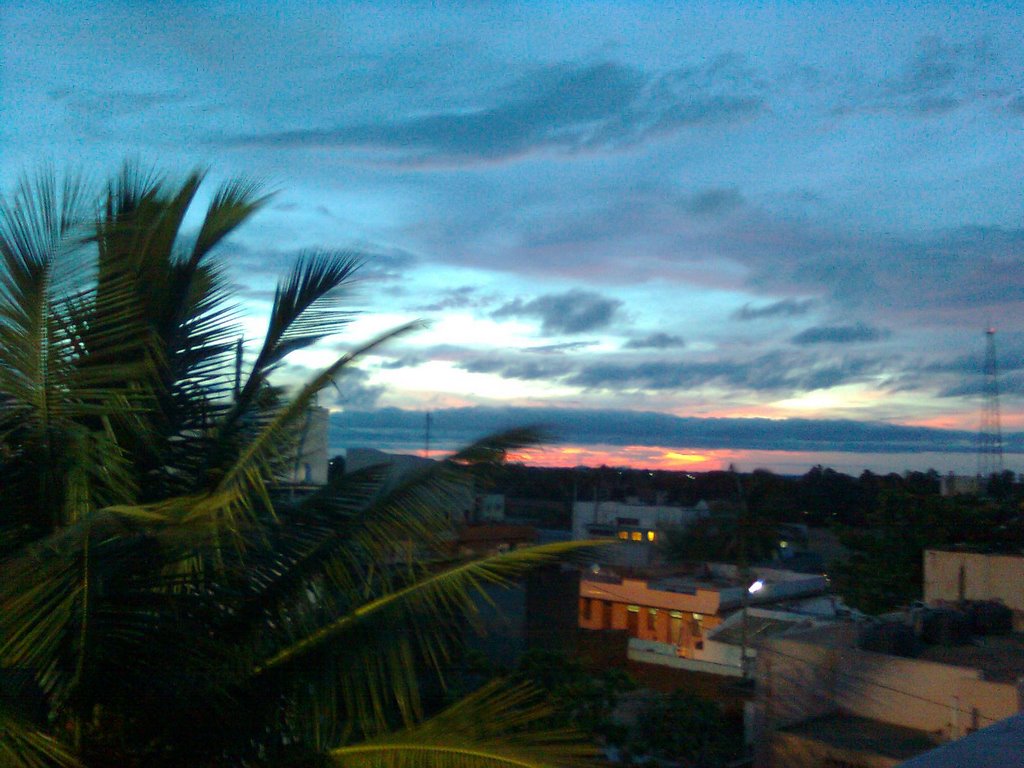 COOL SUNSET