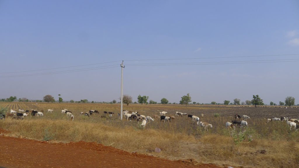 KARNATAKA INDIA