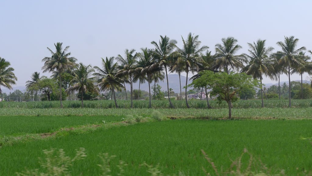 ◊ ◊ ◊ iNDiA ◊ ◊ ◊ KARNATAKA ◊ ◊ ◊