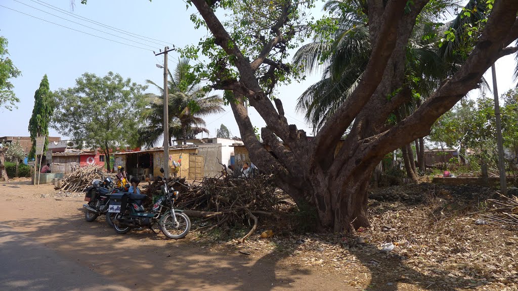 ══❍══ Kanakapur ══❍══ Karnataka ══❍══ India ══❍══
