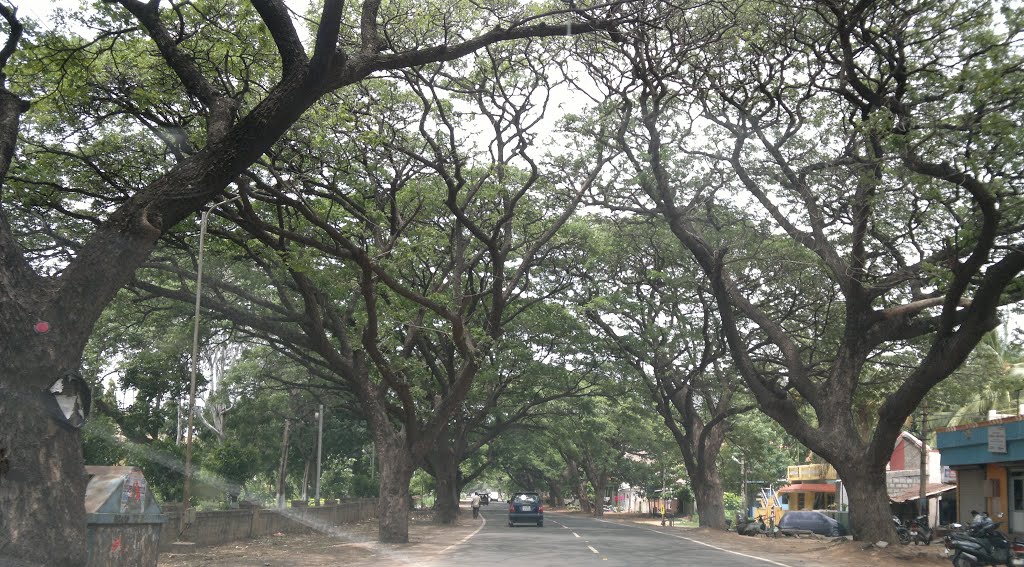 ,Hospet, Karnataka, India