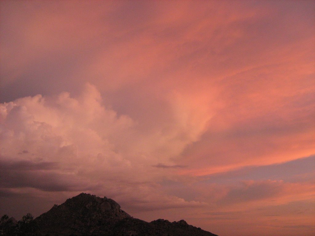 Late evening pink
