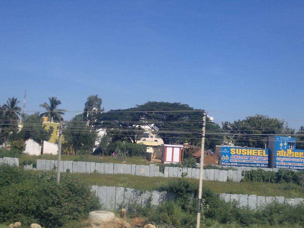 Jayanagara, Kolar, Karnataka 563101, India