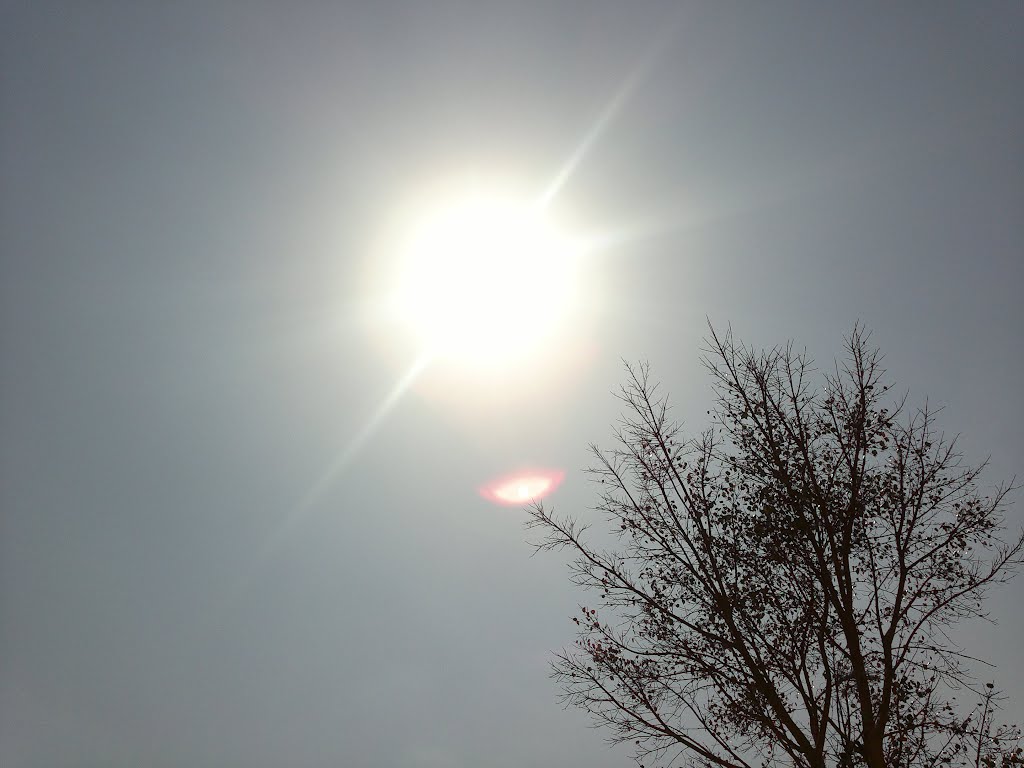 Rays of sun