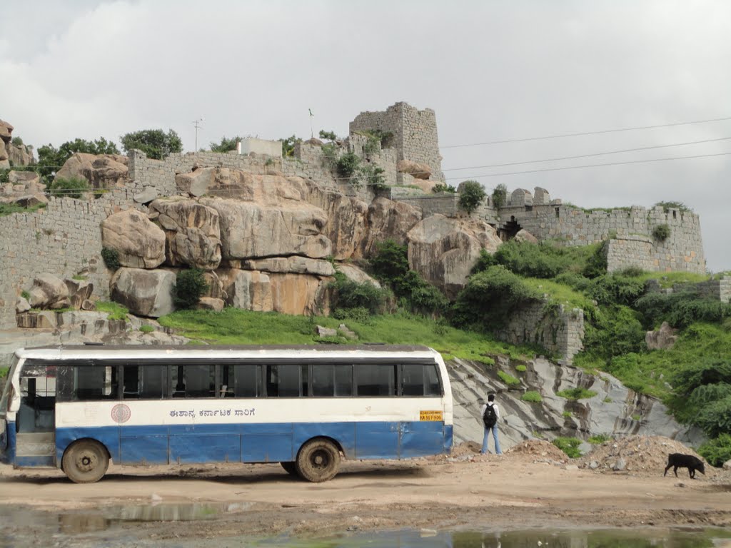 Raichur Fort