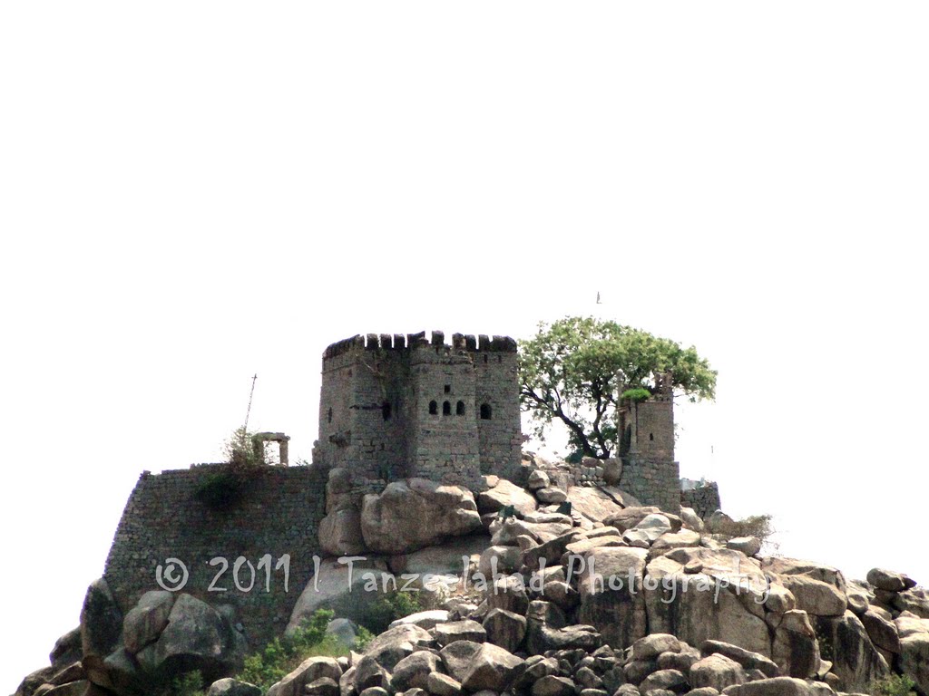 Fort Hill of Raichur