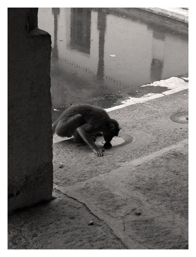 Respite