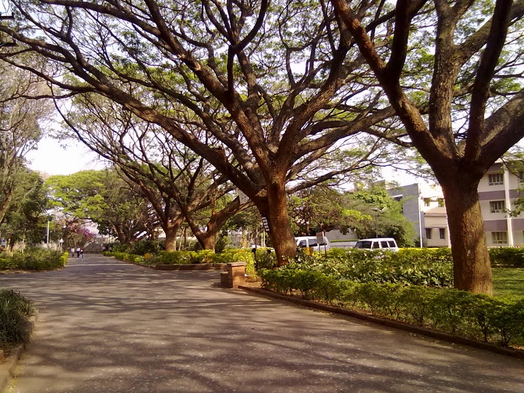 S.I.T Campus