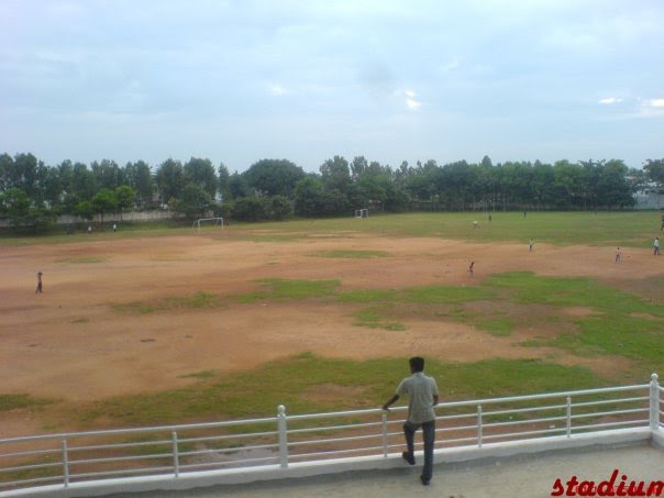 SIT Stadium