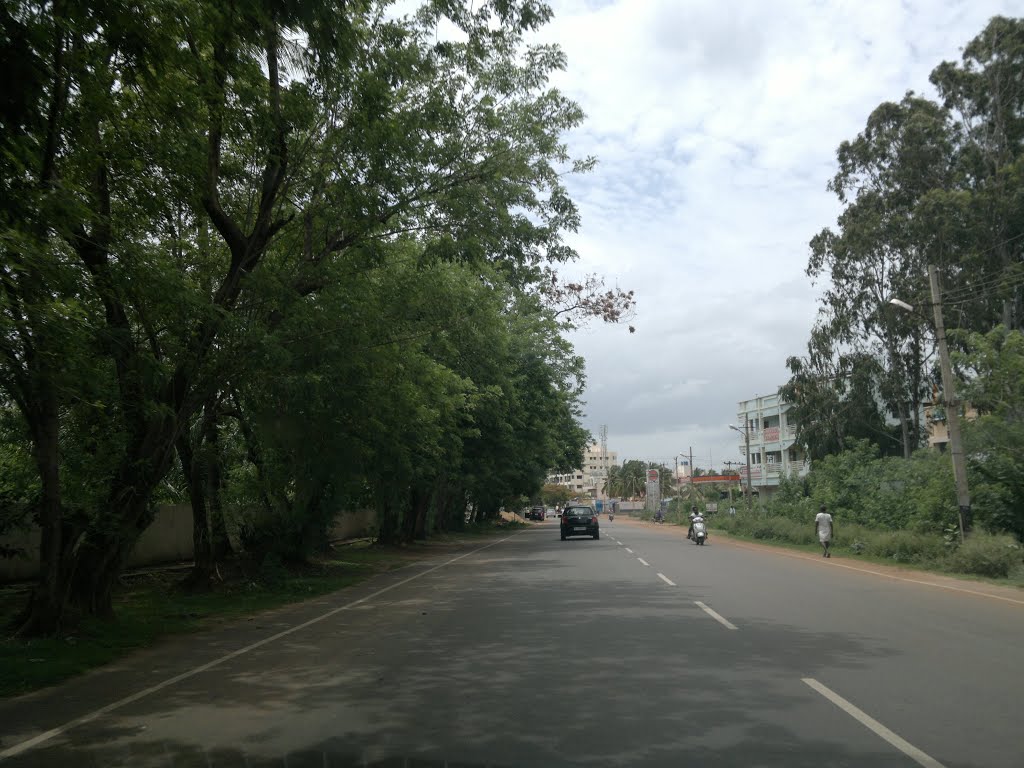 Hospet, Karnataka, India