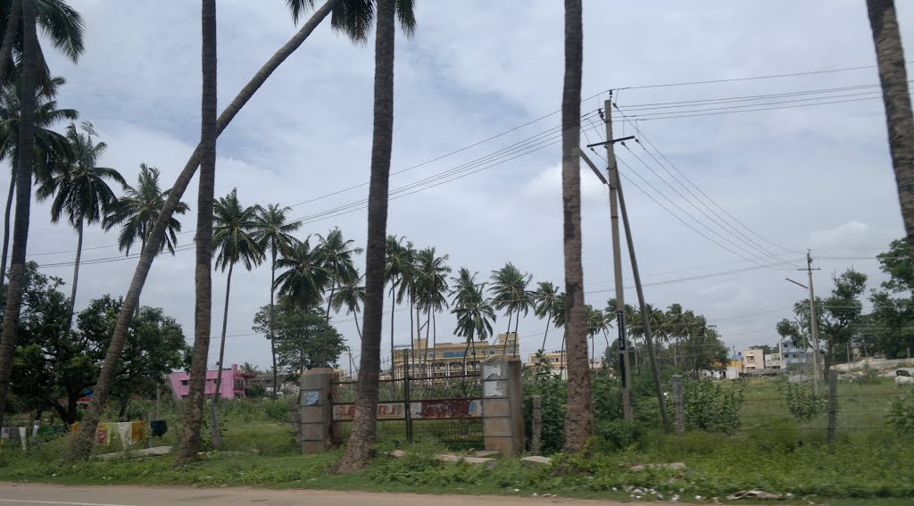 Hospet, Karnataka, India