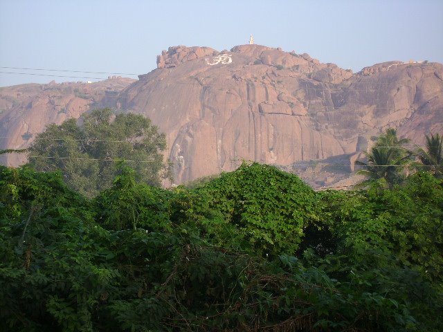 Adoni Town