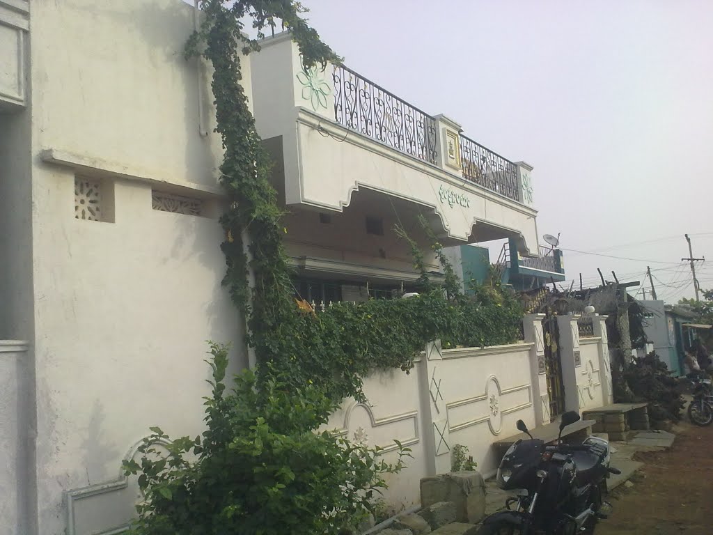 My Home
