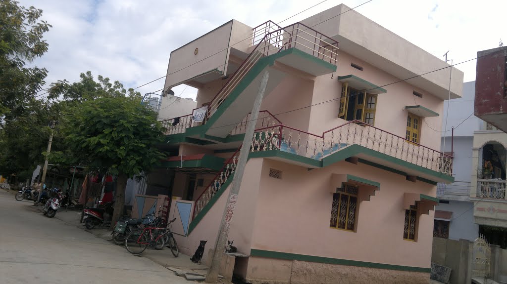 SURYAS HOUSE