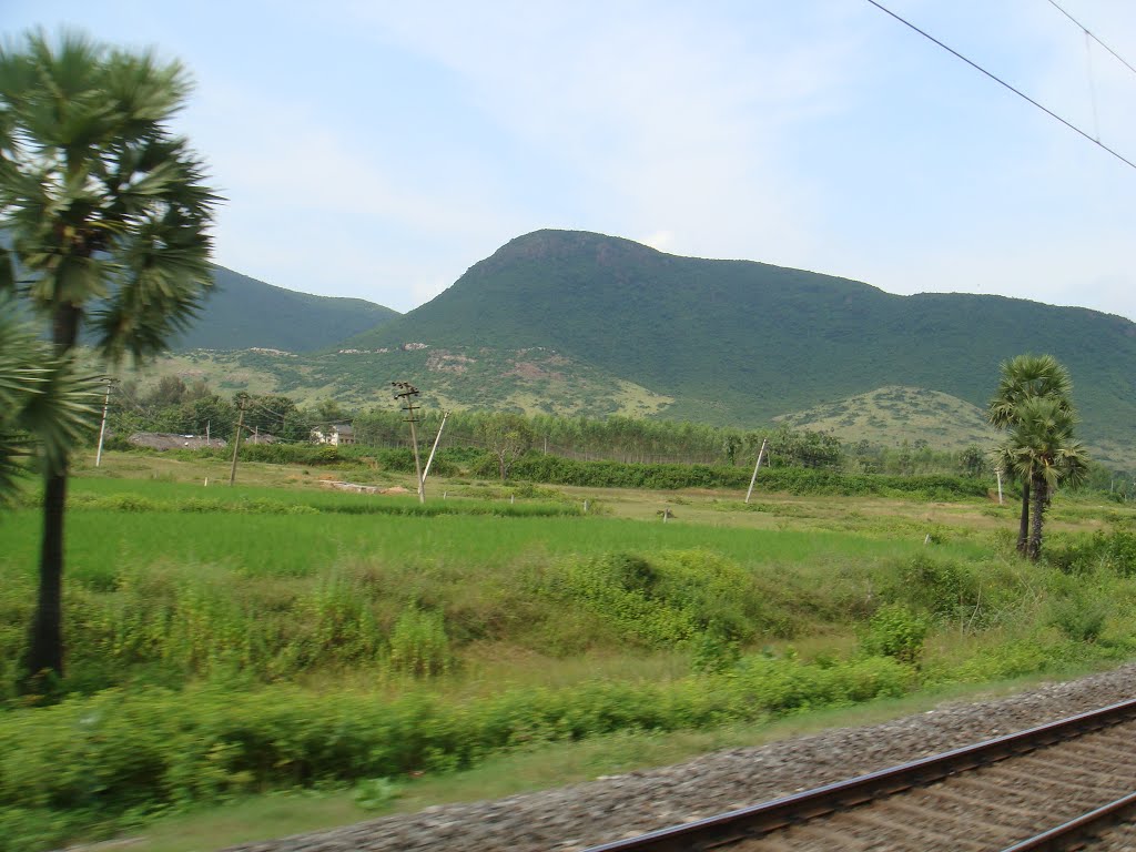 Nearing Vizianagaram Junction, View from Train