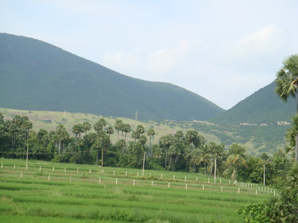 Nearing Vizianagaram Junction, View from Train