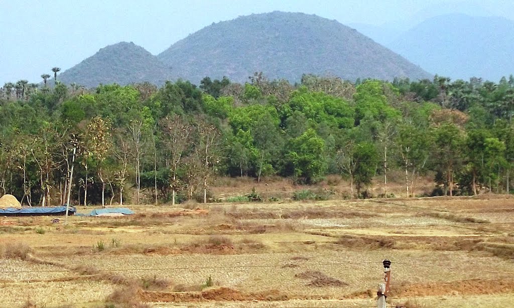 Vizianagaram