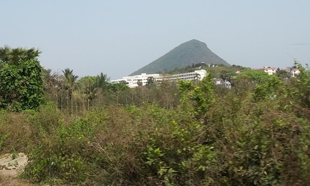 Vijayanagaram విజయనగరం விஜயநகரம் विजयनगरम વિજયનગરમ  വിജയനഗരം ವಿಜಯನಗರಂ ବିଜୟନଗରମ୍  ਵਿਜਯਨਗਰਮ.7831