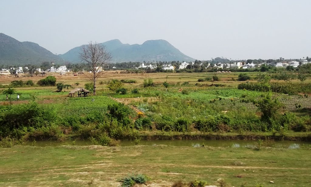 near Hanuman Nagar & Phool Bagh Palace,  Vijayanagaram. 7844