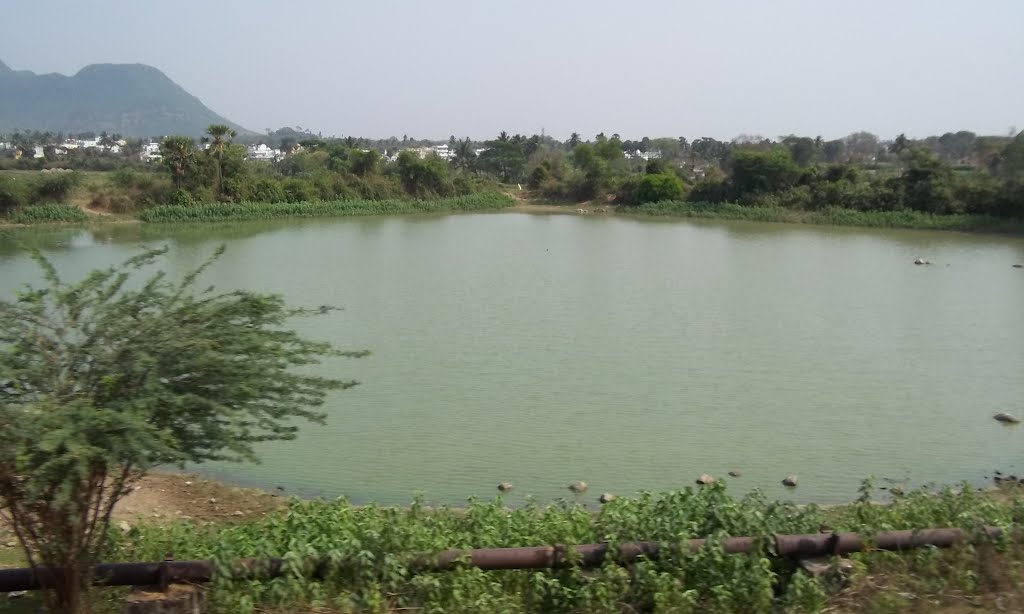Pond near Kothapet,Vijayanagaram. 7845 143207