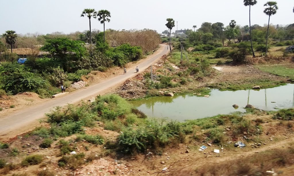 near Vijayanagaram. 7846  143227