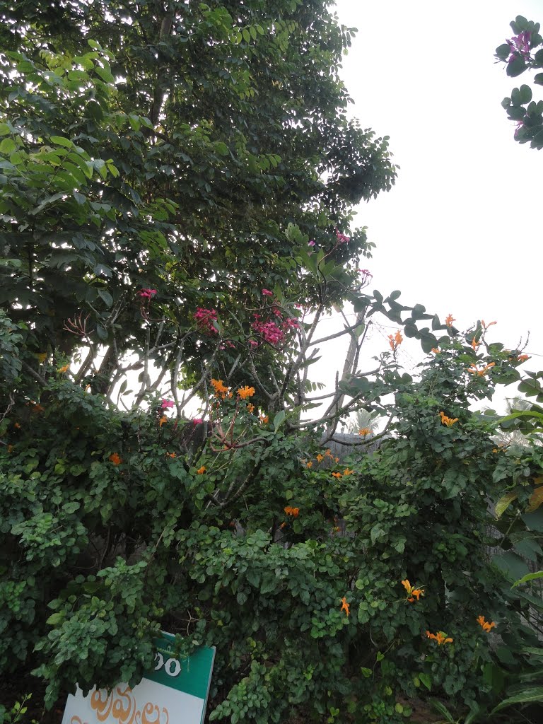 gokulam flowers