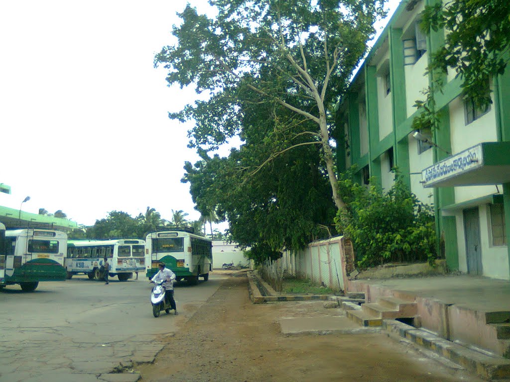 Chidiga