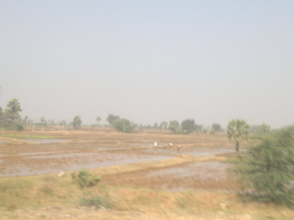 Suriāpet