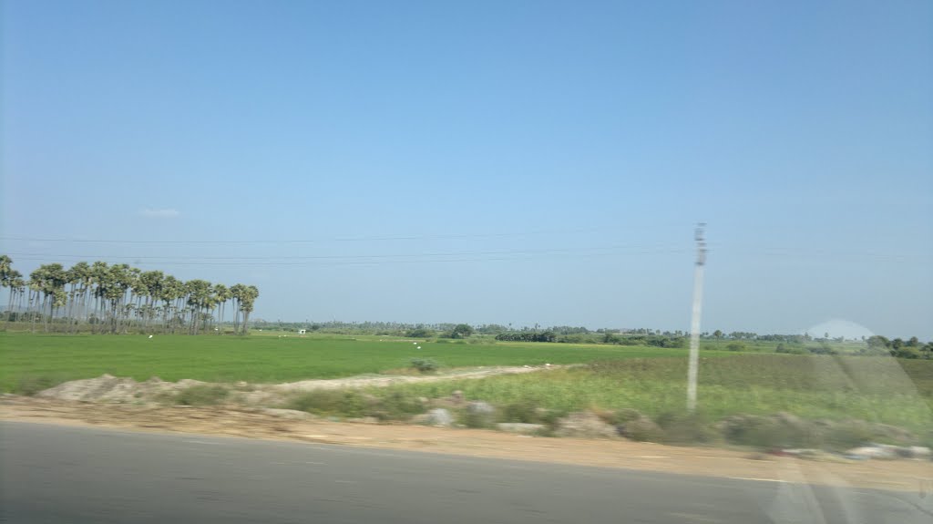 pedda nakkalapalem