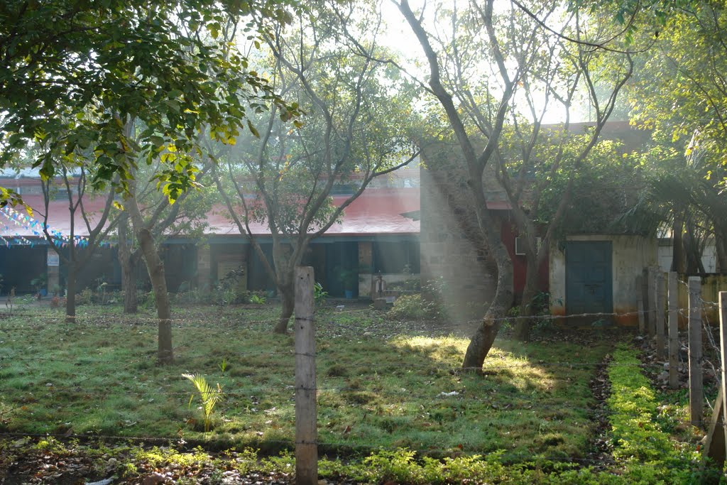 a building inside the collectors office complex