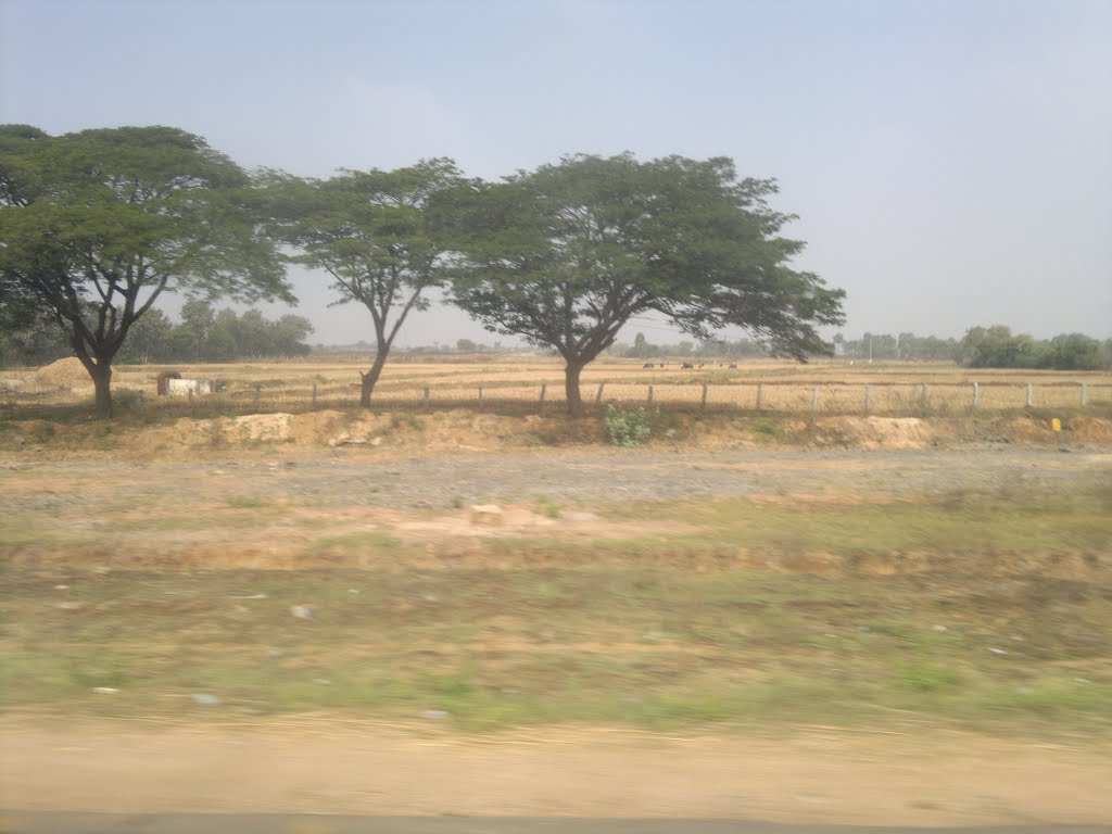 Agr Fields,New Mukundapuram, Mukundapuram, Andhra Pradesh 508233, India
