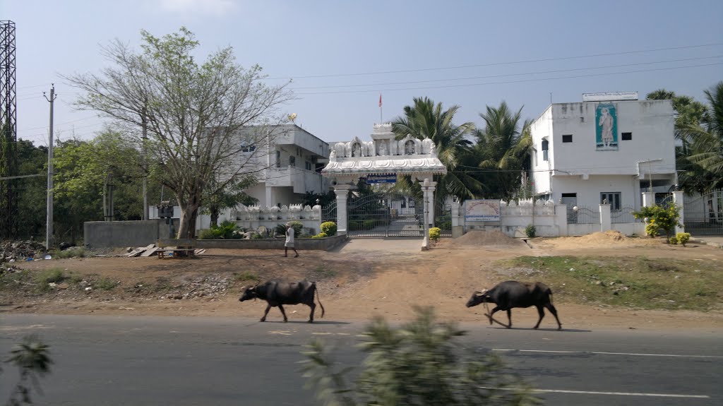 Sai Baba Mandiram, Jagarlamudi Vari Palem, Andhra Pradesh 523261, India