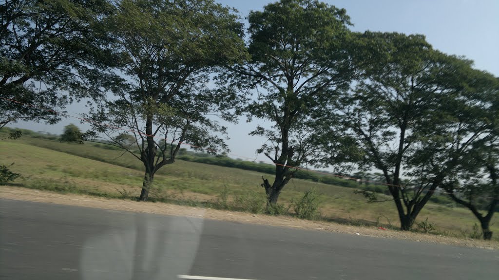 Rajupalem, Andhra Pradesh, India, NH 5.