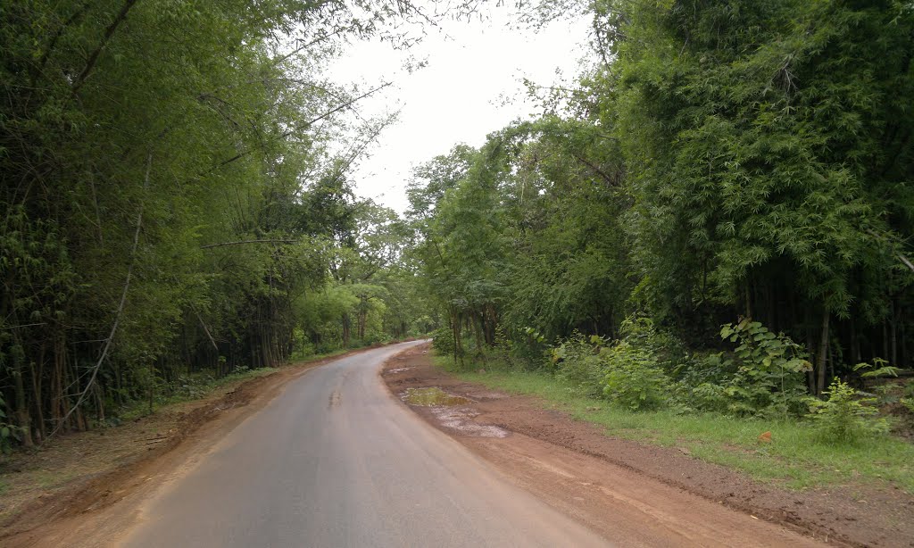 TIGER Reserve Forest ,,Atmakur, Andhra Pradesh 518422, India