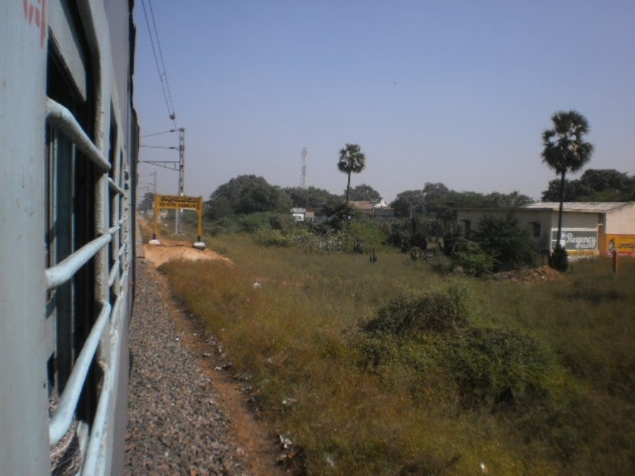 P1124081 ఈపూరుపాలెం ஈபுருபாலம் eepurupalem 11.24.43