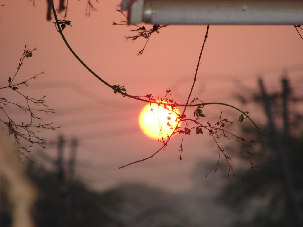Sunrise at NZB