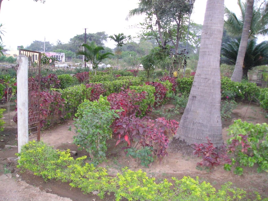 Filter Beds Qilla
