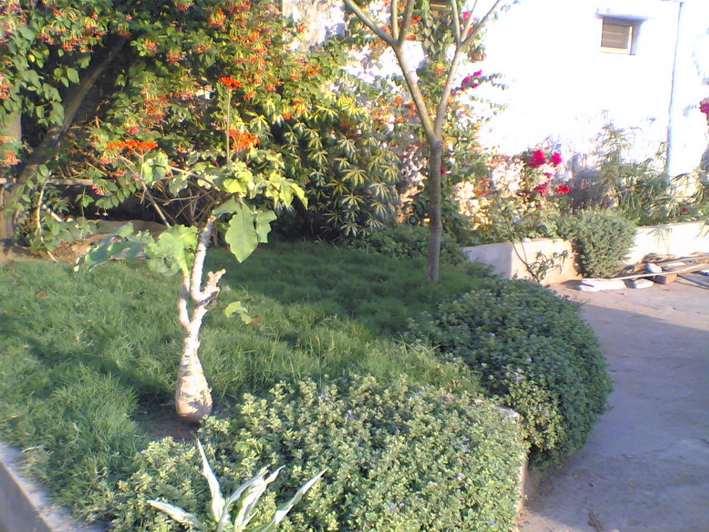 My factory open yard