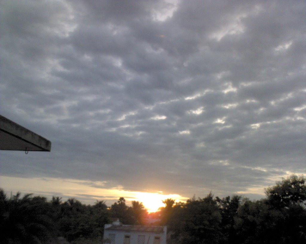 MY HOME
