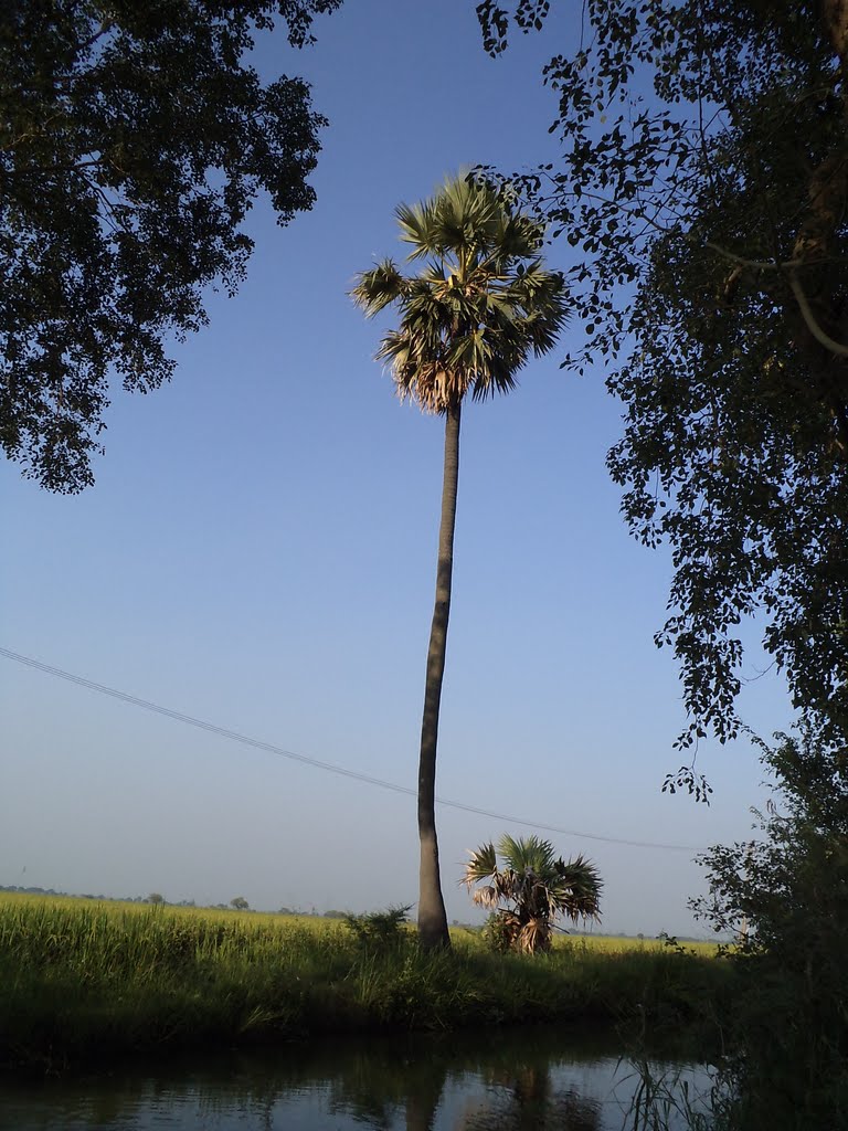 Thenali