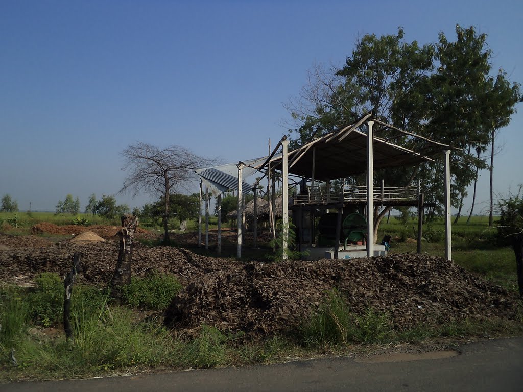 Shed