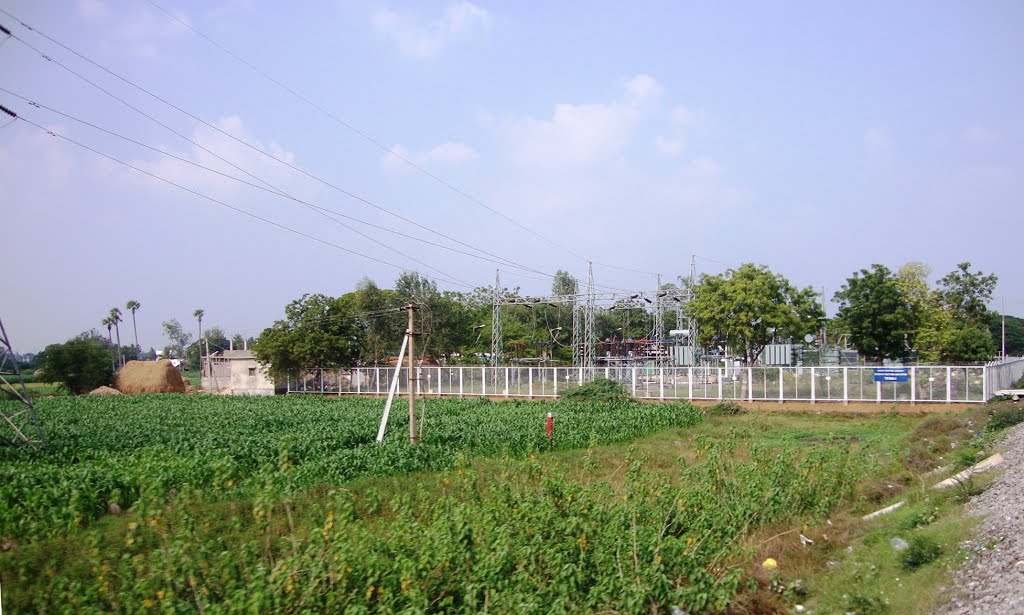 Mallepadu  near  Tenali   8316.