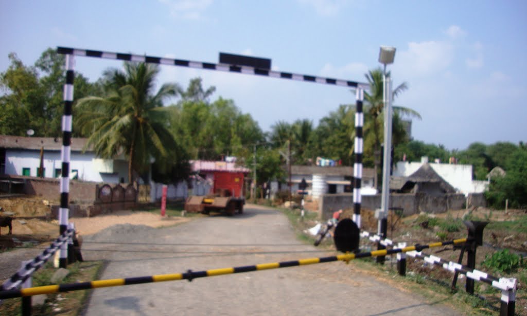 Road Cross.  తెనాలి  தெனாலி तॆनाली Tenali   8318