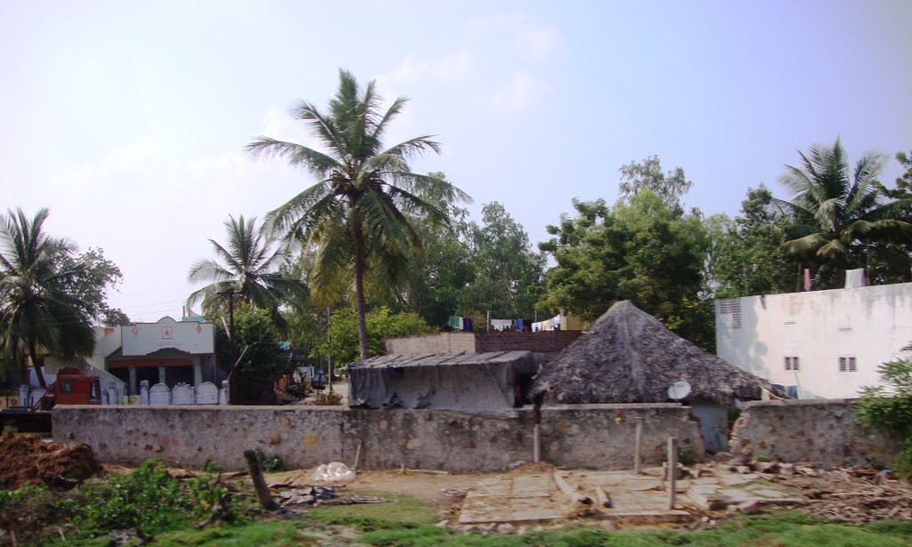 తెనాలి  தெனாலி तॆनाली Tenali  8319.