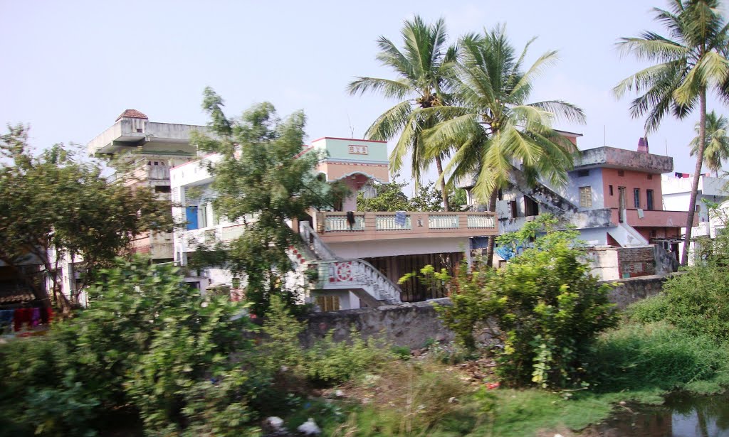 తెనాలి  தெனாலி तॆनाली Tenali  8322.