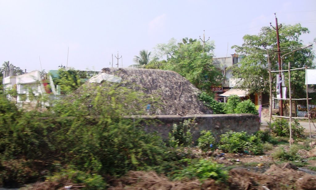 తెనాలి  தெனாலி तॆनाली Tenali  8323.