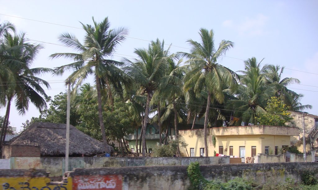 తెనాలి  தெனாலி तॆनाली Tenali  8325.